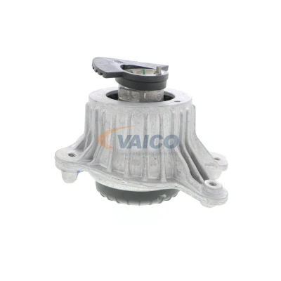 Imagen de VAICO V30 3098 Soporte de motor Q+, calidad primer equipo Delante, derecha hidráulico MERCEDES BENZ: Clase C T modell, E Coupé