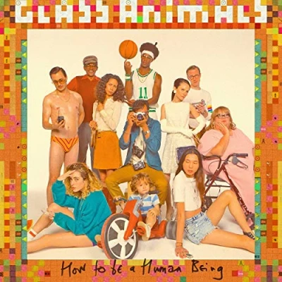 Imagen de How To Be A Human Being [Vinilo]