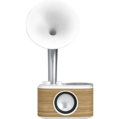 Imagen de Sangean WR 45 Blanco (Euphonic 450), Chopin Silver (BT/FM/Bateria)
