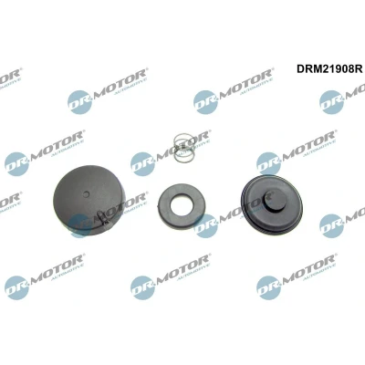 Imagen de DR.MOTOR AUTOMOTIVE DRM21908R Kit de reparación, ventilación cárter