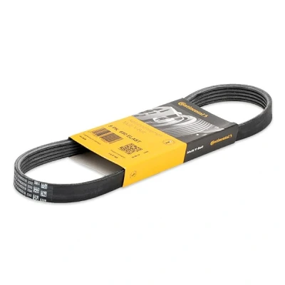 Imagen de CONTITECH 5PK705 ELAST Correa trapecial poli V 705 5 FORD: Focus 2 Kombi, 2, C Max, VOLVO: S40 II, V50, C30