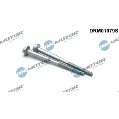 Imagen de DR.MOTOR AUTOMOTIVE DRM01079S Tornillo, soporte inyector AUDI: A5 B8 Coupé, Sportback, A6 C7 Avant, VOLKSWAGEN: Golf 7, Sharan II, Arteon