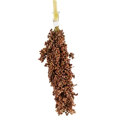 Imagen de JR FARM Birds Dari matraz 100 g