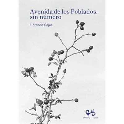 Imagen de Avenida De Los Poblados Sin Número