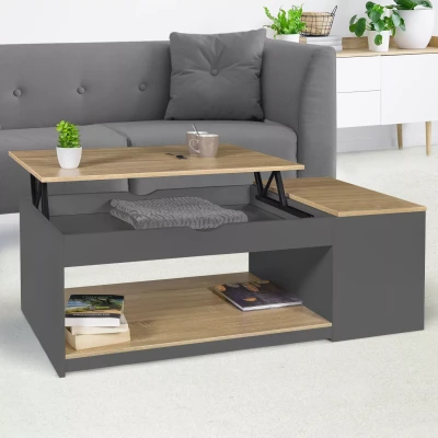 Imagen de IDMarket Mesa Baja Rectangular ELEA con baúl de Madera, Color Gris y Haya
