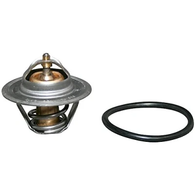 Imagen de JP GROUP 1114600910 Termostato, refrigerante con junta VOLKSWAGEN: GOLF 4, 6, Passat B5 GP Berlina, SEAT: Leon II Hatchback, I Hatchback