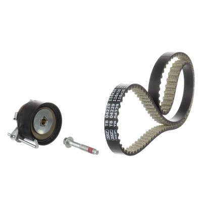 Imagen de Juego de correas distribución SKF VKMA 04229