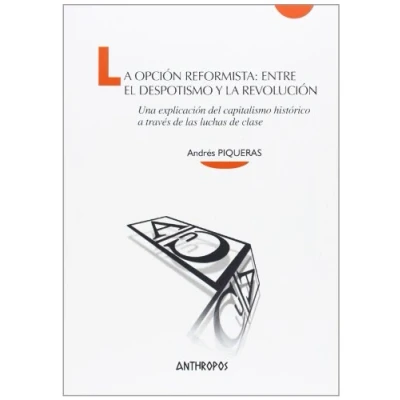 Imagen de Opción Reformista: Una explicación del capitalismo histórico a través de las lu (CUADERNOS A)