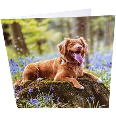 Imagen de Maturi Tarjeta de felicitación cumpleaños cuadrada en blanco Happy Dog