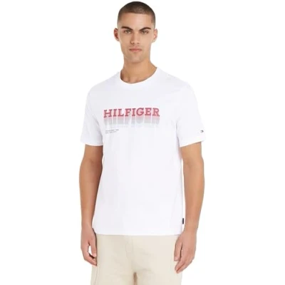 Imagen de Tommy Hilfiger Fade tee MW0MW34377 Camisetas de Manga Corta, Blanco (White), S para Hombre