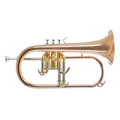Imagen de Roy Benson Fliscorno en Sib FH 302G (con orificio MS de 11 mm, campana latón dorado, válvulas acero inoxidable, incl. estuche rectangular ligero, con función mochila, tamaño: 6&quot;), lacado