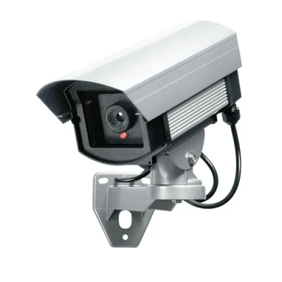Imagen de Indexa PENTATECH 24226 Cámara Falsa con LED Intermitente