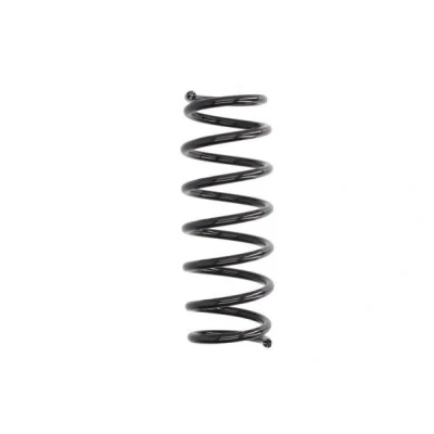 Imagen de Magnum Technology SZ8029 Muelle de suspensión Eje trasero helicoidal