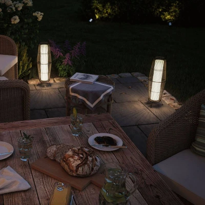 Imagen de Paulmann Plug &amp; Shine Cesta de luz clásica, 40 cm