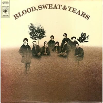 Imagen de Blood Sweat &amp; Tears [Vinilo]