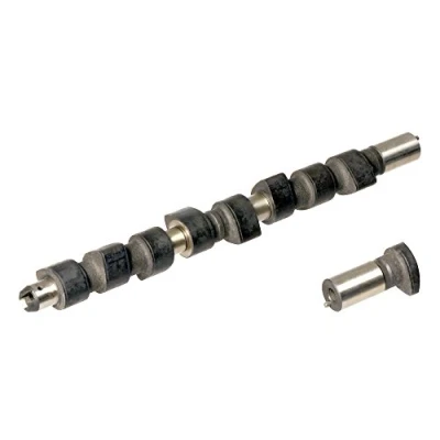 Imagen de AJUSA 93073400 Árbol de Levas FIAT: Tipo Hatchback (160) 1.7 D 1988 1995