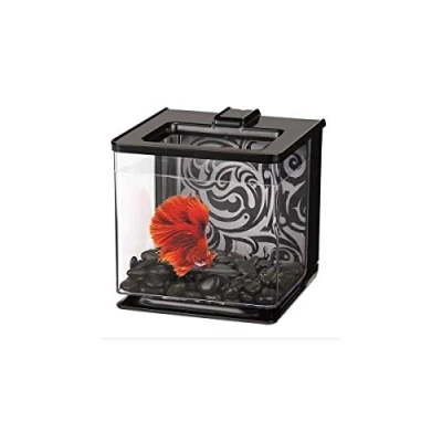 Imagen de Marina 13358 Bettera Ez Care 2.5 l