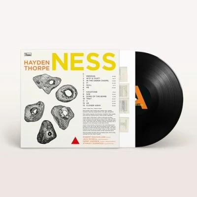 Imagen de Ness Vinilo Hayden Thorpe