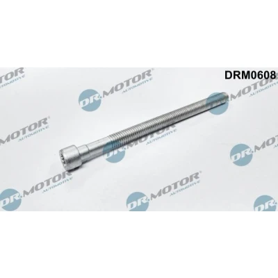Imagen de DR.MOTOR AUTOMOTIVE DRM0608 Tornillo, soporte inyector VOLKSWAGEN: Golf 5, Passat B6 Berlina, Touran I, AUDI: A3 Sportback, Hatchback