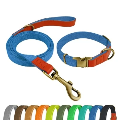 Imagen de Qianruida Juego de Collar y correa para perros ajustable pequeños, medianos grandes, azul cielo, M