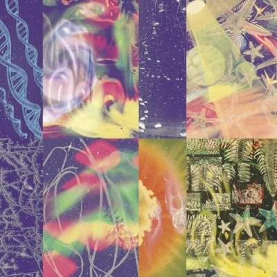 Imagen de The Neon Gate
