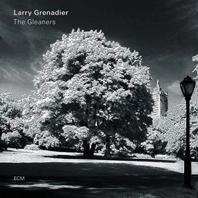 Imagen de The Gleaners Vinilo