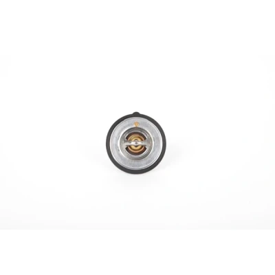 Imagen de Termostato, refrigerante CONTINENTAL 28.0200 4168.2