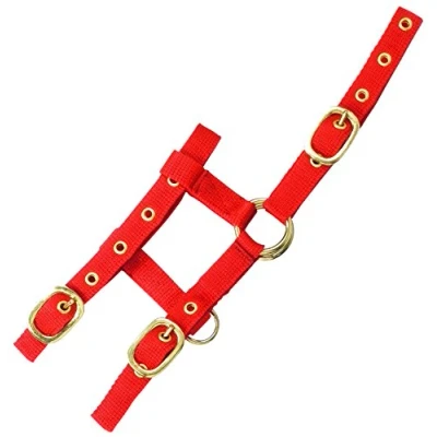 Imagen de Mini cabestro ajustable rojo.