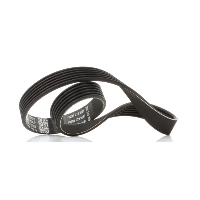 Imagen de DAYCO 6PK736 Correa trapecial poli V 736,0 6 SEAT: Ibiza 3, 2, Leon II Hatchback, VOLKSWAGEN: Golf 5, Polo IV Hatchback