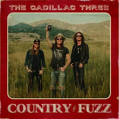 Imagen de COUNTRY FUZZ [Vinilo]