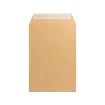 Imagen de Sobre bolsa n.12 kraft folio especial 260x360mm tira de silicona caja 250 unidades.