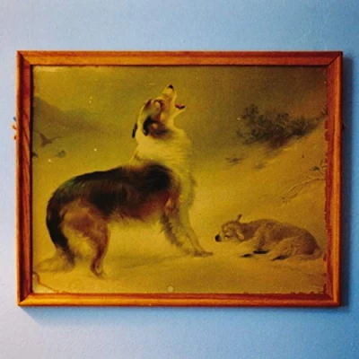 Imagen de The Rescue (Anniversary Edition) [Vinilo]