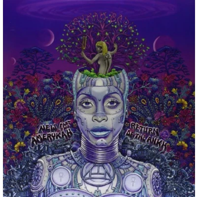 Imagen de New Amerykah Part 2 Vinilo