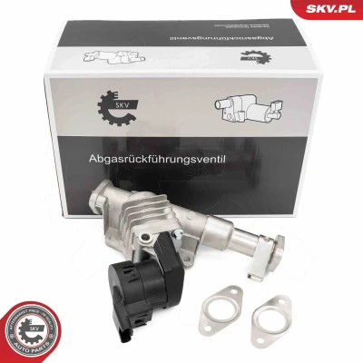 Imagen de Válvula EGR ESEN SKV 14SKV287