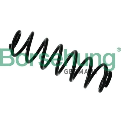 Imagen de Borsehung B12623 Muelle de suspensión Eje delantero VOLKSWAGEN: Touran I, Passat B6 Variant, Berlina, SKODA: Superb II Hatchback norauto,