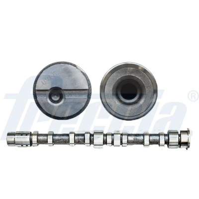 Imagen de FRECCIA CM05 2197 Árbol de Levas FORD: MONDEO 4 Stufenheck, Focus 2, C Max