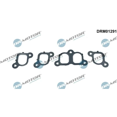 Imagen de DR.MOTOR AUTOMOTIVE DRM01291 Juego de juntas, colector admisión VOLKSWAGEN: Transporter 5, Multivan 5 (7HM, Touareg I