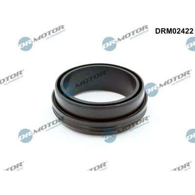 Imagen de DR.MOTOR AUTOMOTIVE DRM02422 Junta anular, conducto aire admisión BMW: 3 Berlina, Coupé, X3