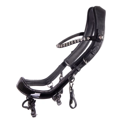 Imagen de PresTeq Bridle FaySport Glitter