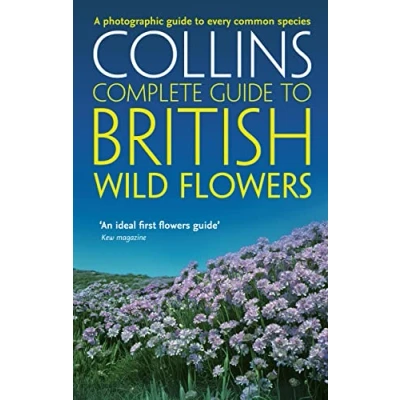 Imagen de British Wild Flowers