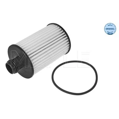 Imagen de MEYLE 29 14 322 0003 Filtro de aceite con junta Cartucho filtrante CHEVROLET: Captiva, Cruze Berlina, Familiar, OPEL: Antara, VAUXHALL: Antara