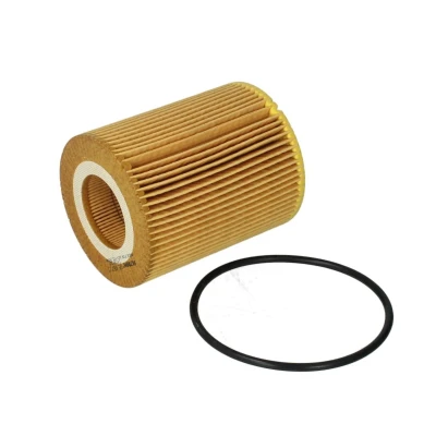 Imagen de FILTRON OE 667/3 Filtro de aceite Cartucho filtrante CITROËN: C5 3, III Familiar, C6 Berlina, LAND ROVER: Range Rover Sport, Discovery 4