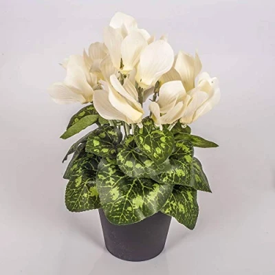 Imagen de artplants.de Ciclamen Artificial en Maceta, 12 Flores, Crema, 25cm Planta Flores Decorativas
