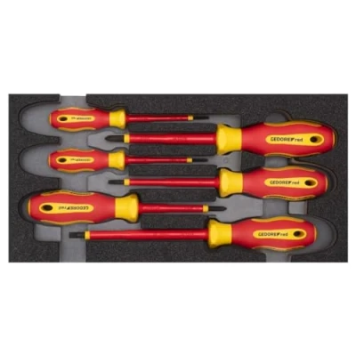 Imagen de GEDORE R22150016 Kit de atornilladores en módulo vehículo (refuerzo espuma blanda PU)