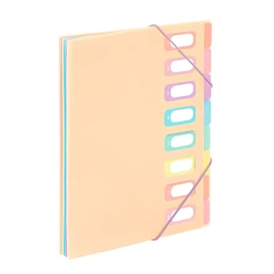Imagen de Viquel Clasificador de documentos A4 con 8 compartimentos Rainbow Pastel Beige