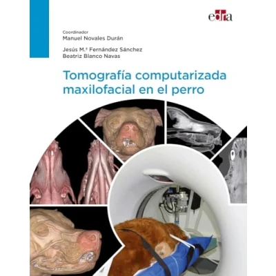 Imagen de Tomografía computarizada maxilofacial en el perro