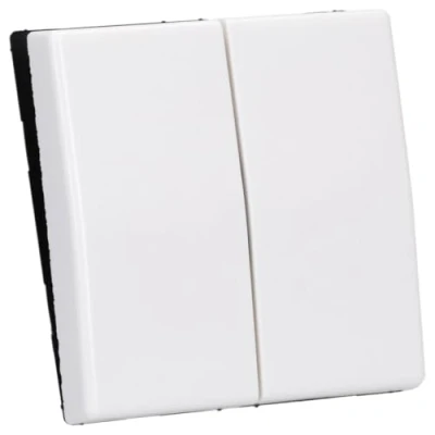Imagen de JUNG AS591 5WW Tecla Doble, Duroplástico (Resistente Al Rayado) Brillante, Blanco Alpino
