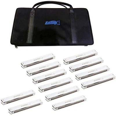 Imagen de East Top Harmonica Juego de 12, 24 agujeros Armónica trémolo profesional T2406S Para adultos, músicos profesionales y estudiantes, como regalo