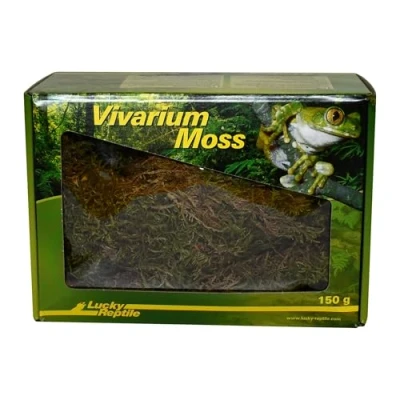 Imagen de Lucky Reptile Vivarium Moss 150 g Musgo para terrarios Reptiles Fresco de Cultivo controlado Aumentar Humedad del Aire decoración terrario Accesorio réptil