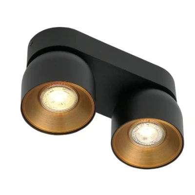 Imagen de Nordlux Downlight Pitcher, GU10, 2 luces, metal, negro
